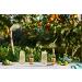Fever-Tree Ginger Beer 4 x 200 ml - Pack of 6 (24 Bottles) | Buy Internationally Online - Buy Online on GoSupps.com