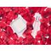 Love in Transit Kit One Love Pheromone Perfume & Candle Set with Rose Petals Travel Bag - Buy Online on GoSupps.com