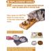 VENTION Stainless Steel Shallow Cat Food Bowls Set of 4 - 5 7/10 Inch - Dishwasher Safe Metal Dishes for Elevated Stand, Whisker Fatigue Relief - Buy Online on GoSupps.com