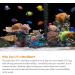 PULACO 5W UV-c Aquarium Algae Clean Light - Fish Tank UV Lamp - Buy Online on GoSupps.com