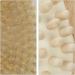 Relaxdays Bath Brush Set of 2 - Natural Bristles Back Brush & Round Massage Brush | Eco-Friendly Wooden Dry Brush for Spa Experience - Buy Online on GoSupps.com