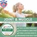 Foxleaf Organics Premium Hemp Salve with Arnica & Turmeric - Unscented, Non-Greasy Extra Strength Formula - 2 OZ | Made in USA - Buy Online on GoSupps.com
