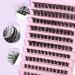Riya Lash Clusters 120Pcs DIY Eyelash Extensions | Natural Look Wispy Lashes 8-16MM D Curl Individual Reusable Fluffy Extensions - RY-01 - Buy Online on GoSupps.com