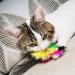 Cat Feather Toy Replacement - Natural Bird Feather Worm Refills | AA-8PCS Teaser Refills for Indoor Cats - Buy Online on GoSupps.com