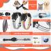 Waterproof Airtag Cat Collar - Reflective Gray XS (18-23cm) with Safety Lock & Elastic for Kittens & Small Dogs - Buy Online on GoSupps.com