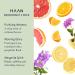 Pack of 3 HAAN Natural Deodorants for Women and Men | Margarita Spirit Morning Glory Purifying Verbena Fragrance with 24 Hour Odor Protection | Vegan Deodorant Balance Your Skin's | 4 Fl. Oz. Each - Buy Online on GoSupps.com