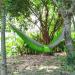 Forbidden Road Single Camping Hammock - Lightweight 210D Nylon Parachute Hammock for Outdoor Hiking and Travel - Supports 400lbs - Ropes and Carabiners Included - Green/Grey - Buy Online on GoSupps.com