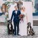 GOYOSWA Dog Tuxedo Suit with Bow Tie for Wedding & Special Occasions | Adjustable Formal Costume for Small, Medium, Large Dogs (Large Neck 15-25) - Buy Online on GoSupps.com