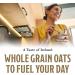 MCCANN'S IRISH OATMEAL IRISH OATMEAL QUICK&EASY 16 OZ - Buy Online on GoSupps.com
