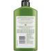 Detox & Repair Shampoo - 8.45 oz with Avocado Oil & Green Tea - Buy Online on GoSupps.com