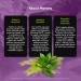 Vital Peak Matcha 1000 mg - EGCG Green Tea Supplement Powder Pills Support Energy & Mental Clarity* - for Women & Men Vegan Gluten Free - 60 Capsules - Buy Online on GoSupps.com