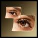 Max Factor False Lash Effect XXL Mascara - 100% Vegan Instant Volume & Length Black 12ml - International Shipping Available - Buy Online on GoSupps.com