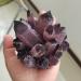 for 900g Natural Purple Ghost Phantom Quartz Crystal Cluster Rock Stones and Crystals Specimen Home 1pcs Crystal Cluster (Size : 700-800g) - Buy Online on GoSupps.com