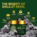 500mg Himalayan Shilajit Resin Supplement - 85+ Trace Minerals for Brain Boost & Energy - 50g (2-3 Month Supply) - Buy Online on GoSupps.com