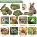 ERKOON 25Pcs Bunny Chew Toys - Natural Timothy Hay Treats Sticks for Rabbit, Chinchilla, Guinea Pig, Hamster, Gerbil, Squirrel - 8.5oz - Buy Online on GoSupps.com