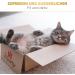 St.Pawly Cat Fishing Replacement Set - Sustainable Interchangeable Toys & Bands for Cats - Buy Online on GoSupps.com