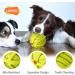 Laroo Durable Natural Rubber Dog Ball | Squeaker Toy for Small & Large Dogs | 9cm Green Dog Football - Buy Online on GoSupps.com