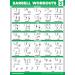 Buy Palace Learning Barbell Workout Posters - Set of 3 Laminated Exercise Charts (18x24 45.7x61 cm) for International Shipping - Buy Online on GoSupps.com