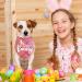 Easter Dog Bandanas 2 Pack - Pink Honey Bunny & Light Blue Happy Easter Plaid Bandanas for Dogs - Buy Online on GoSupps.com