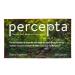Percepta Plant-Based Memory Support - Natural Nootropic Brain Booster - Memory, Focus, Concentration - 30 Day Supply