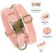 Didog Soft Leather Dog Collar - Durable & Adjustable Pink Collar for Medium & Small Dogs (Neck Size 13-21) | Quick Lock Metal Buckle - Buy Online on GoSupps.com