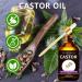 Organic Cold Pressed Castor Oil for Hair Eyelashes and Beard Growth - 3.38 fl oz Unrefined | Sedbuwza - Buy Online on GoSupps.com