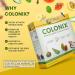 DrNatura Colonix Kit - 30 Day Cleanse & Detox Program for Digestive Health - Buy Online on GoSupps.com