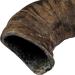 Buy TX-27742 Buffalo Chewing Horn Medium M (1 Pack) - Natural Chew for Dogs | Eco-Friendly Pet Supplies - Worldwide Shipping - Buy Online on GoSupps.com