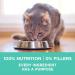 Purina ONE +Plus Dry Cat Food Sensitive Systems Turkey - 1.8 kg Bag 1.8 kg (Pack of 1) Cat Food - Buy Online on GoSupps.com