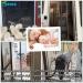 Fly Papers for Indoor Outdoor 290 x 230 cm Magnetic Flyscreen Net with Magnetic Block Closure Easy Installation Bug-Free Net for Flies/Mosquito Black Black 290x230cm/114x91inch/Width Height - Buy Online on GoSupps.com