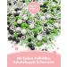 Happy Sprinkles Football Champion 90g - Chocolate Sprinkle Mix for Cookies Ice Cream & Cakes | Ideal Tortendeko for Football Parties - Buy Online on GoSupps.com