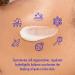 Night Cream Nightly Bliss with Argan Oil & Honey - Nourishing Skin Care for All Types - Made in France - Buy Online on GoSupps.com