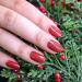 Color Street Cran-tastic Red Glitter Nail Polish Strips | Long-Lasting DIY Manicure - Buy Online on GoSupps.com