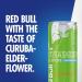 Red Bull Sugar Free Summer Edition Curuba-Elderflower 355ml x 12 | Buy Online - Buy Online on GoSupps.com