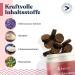 Felmo Digestive Snacks for Dogs (180g) - Probiotic Treats for Intestinal Health Grain & Sugar Free Boosts Immune System - Buy Online on GoSupps.com