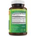 Previtalize: Natural Prebiotic for Digestion, Metabolism & Gut Health | Provitalize Complement - Buy Online on GoSupps.com