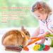 Fanshiontide 19 in 1 Bunny Chew Toys for Teeth - Rabbit Treats and Toys for Teeth - Timothy Hay Sticks, Loofah, Wood, Grass, Carrots, Corn - Ideal for Rabbit, Guinea Pig, Hamster, Chinchilla - Buy Online on GoSupps.com