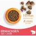 IAMS Dry Cat Food with Salmon for Cats Aged 1-6 Years - 1.5 kg Pack - Premium Nutrition for Healthy Cats - Buy Online on GoSupps.com
