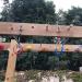 Sunnyglade 40ft Ninja Line Hanging Obstacle Course for Kids | Slackers Ninja Line Kit with Bars, Fists, Rings | Ninja Slackline Accessories - Buy Online on GoSupps.com