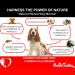Holistic Hound Liquid Dog Wormer Worms Away - Worming Treatment for Dogs & Puppies Over 12 Weeks - Repels Kills and Prevents Intestinal Parasites & Worms - 100% Natural & Chemical Free - 50ml Bottle - Buy Online on GoSupps.com