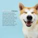 Dual Ended Toothbrush for Dogs & Cats - Ergonomic Design Flexible Neck Controls Tartar & Plaque Reduces Bad Breath - Buy Online on GoSupps.com