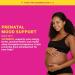 Pink Stork Pregnancy Mood Gummies: Prenatal Vitamin D Chewables for Immune and Mood Support - 60 Cherry Peach Gummies - Buy Online on GoSupps.com