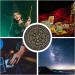 Pendulum Board - Handcrafted Holzwahrsagerei Round Dowsing Board | Metaphysical Witch Star Gift | Unique Carved Wooden Divination Tool - Buy Online on GoSupps.com
