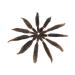 SEGO 3 Packs Afro Crochet Braids - Kinky Curly Hair Extensions in Natural Black & Honey Blonde - Best for Stylish Hair Transformations - Buy Online on GoSupps.com