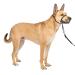 PetSafe Gentle Leader Headcollar, No-Pull Dog Collar  Perfect for Leash & Harness Training Black Medium Headcollar
