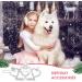 Buy Cobee Bling Dog Crown Hair Accessories | 4-Piece Rhinestone Dog & Cat Hair Clips - International Shipping Available - Buy Online on GoSupps.com