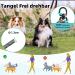 Snagle PAW Doppelleine: Double Dog Leash for Easy Control | Reflective 360 Design for Medium & Large Dogs | No Tugging Fits 13-22 kg Dogs | Black & Blue White - Buy Online on GoSupps.com