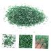 HAKIDZEL 1 Glass Chip Rhinestones for Nails Nail Art Crushed Glass Nail Sequins Ornaments Glass Chips in Bulk Resin Fillers Metal Filler DIY Epoxy Resin Nail Art Charms Nail Stone Irregular 0.5X0.3cm Green - Buy Online on GoSupps.com