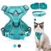Fineasy cat dishes with a line -safe and cat neck adjustable cat leash with dishes dishes Cat Harness Soft software for cat cats Breast harness (green m) m green green