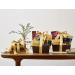 Godiva Assorted Chocolate Truffles Gift Box - 12 pc, 4.2 oz - Perfect Gift for Chocolate Lovers - Buy Online on GoSupps.com